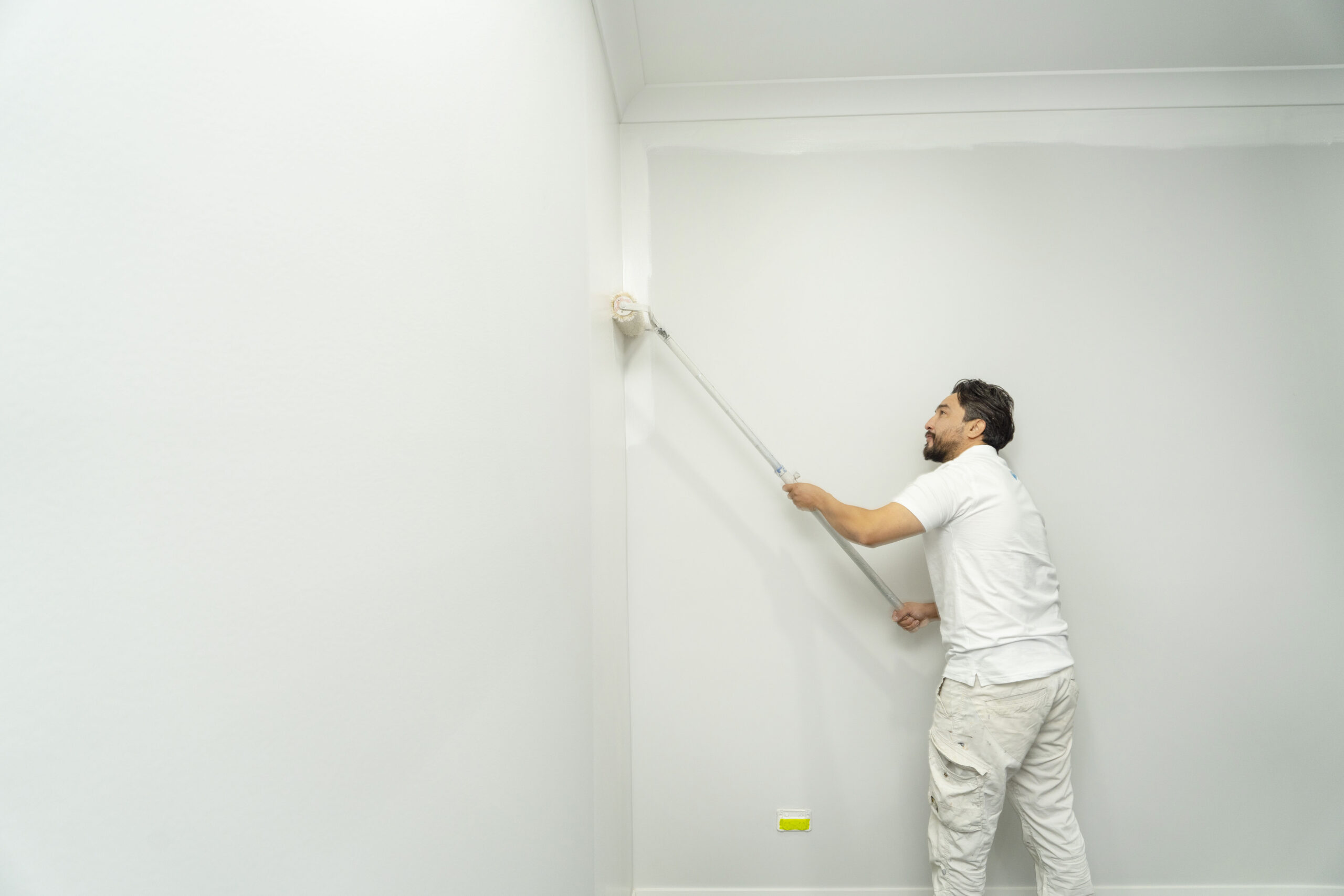 Professional Painting